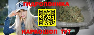 Альфа ПВП Братск