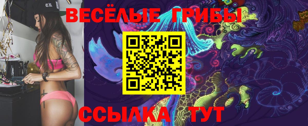 Галлюциногенные грибы GOLDEN TEACHER Аксай